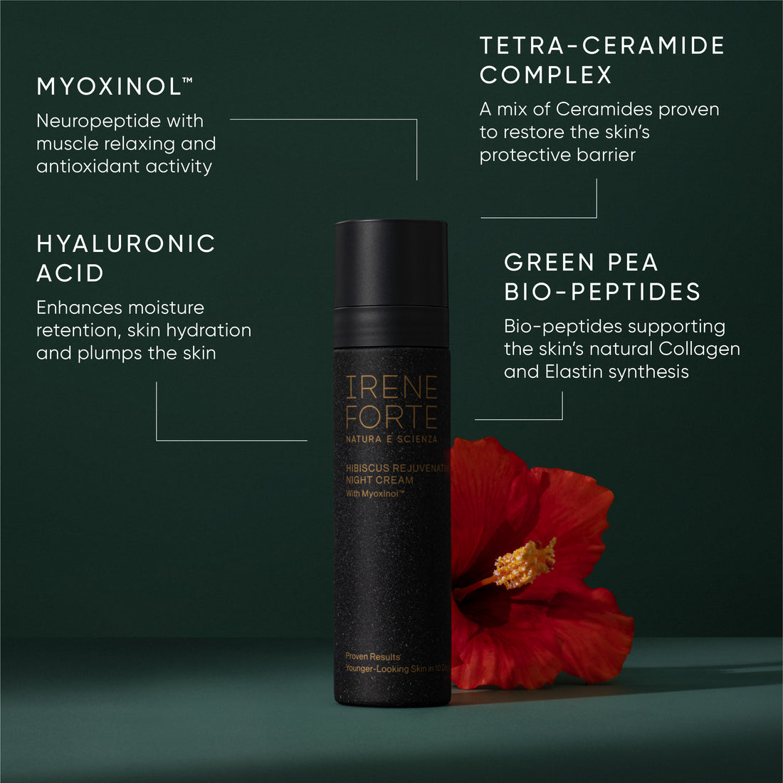 Irene Forte HIBISCUS NIGHT CREAM REFILL packaging with a white cream smear on a white background