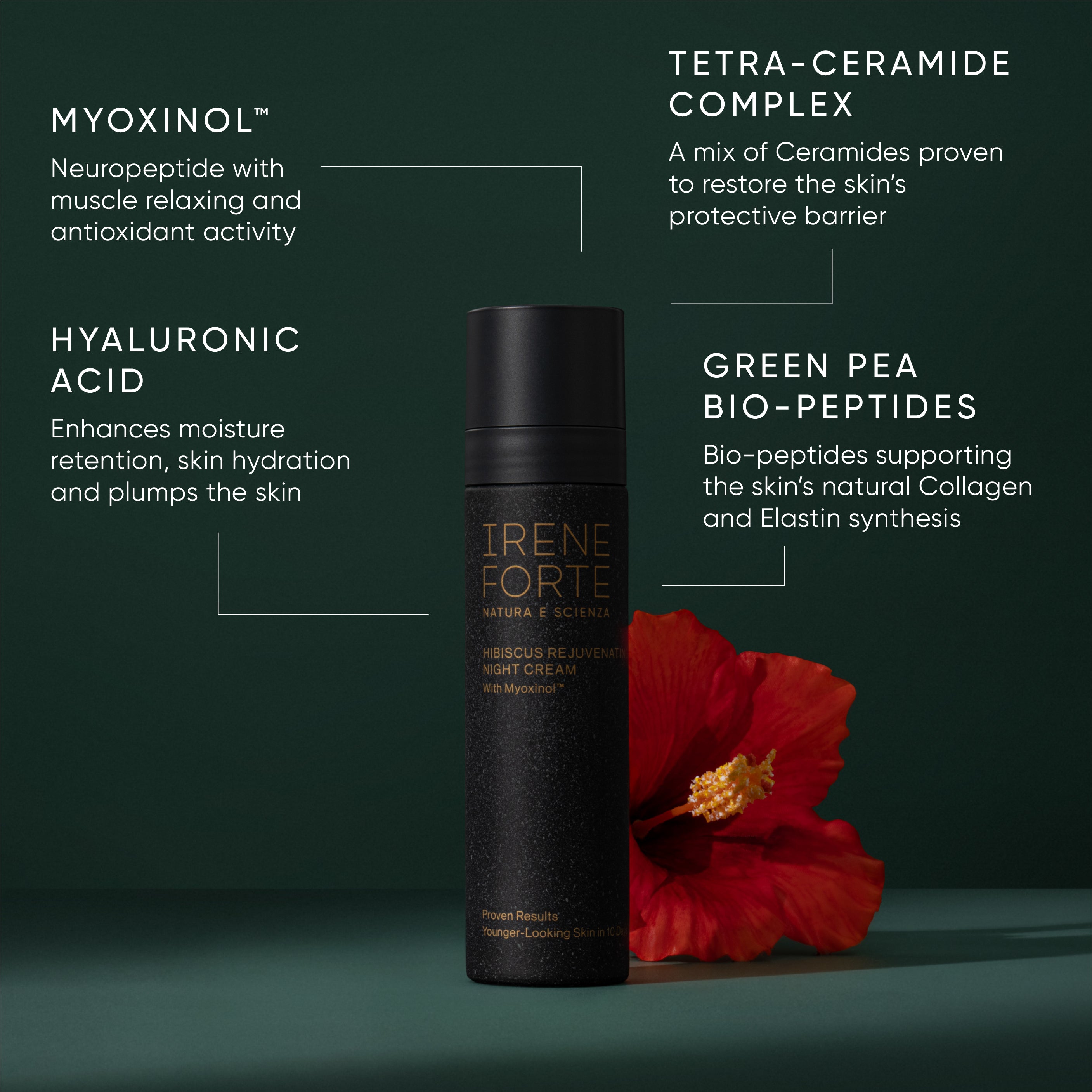 Travel-Sized Hibiscus Rejuvenating Night Cream