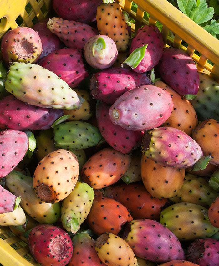 Il Menù: Prickly Pear