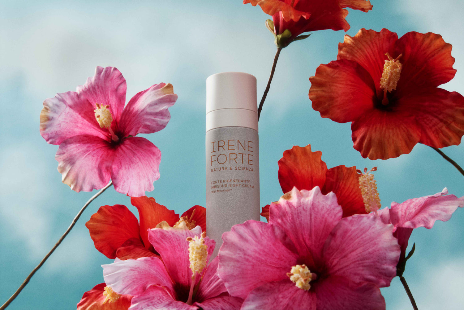 Hibiscus Night Cream: 40 Years of Research, 10 Days to Visible Results