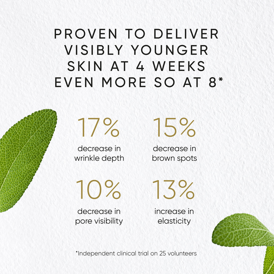 Phytomelatonin Verjüngungsserum