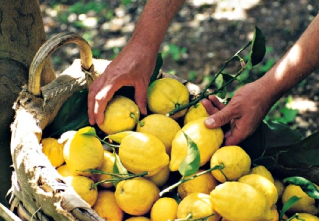 #MediterraneanMonday - Ricette al limone