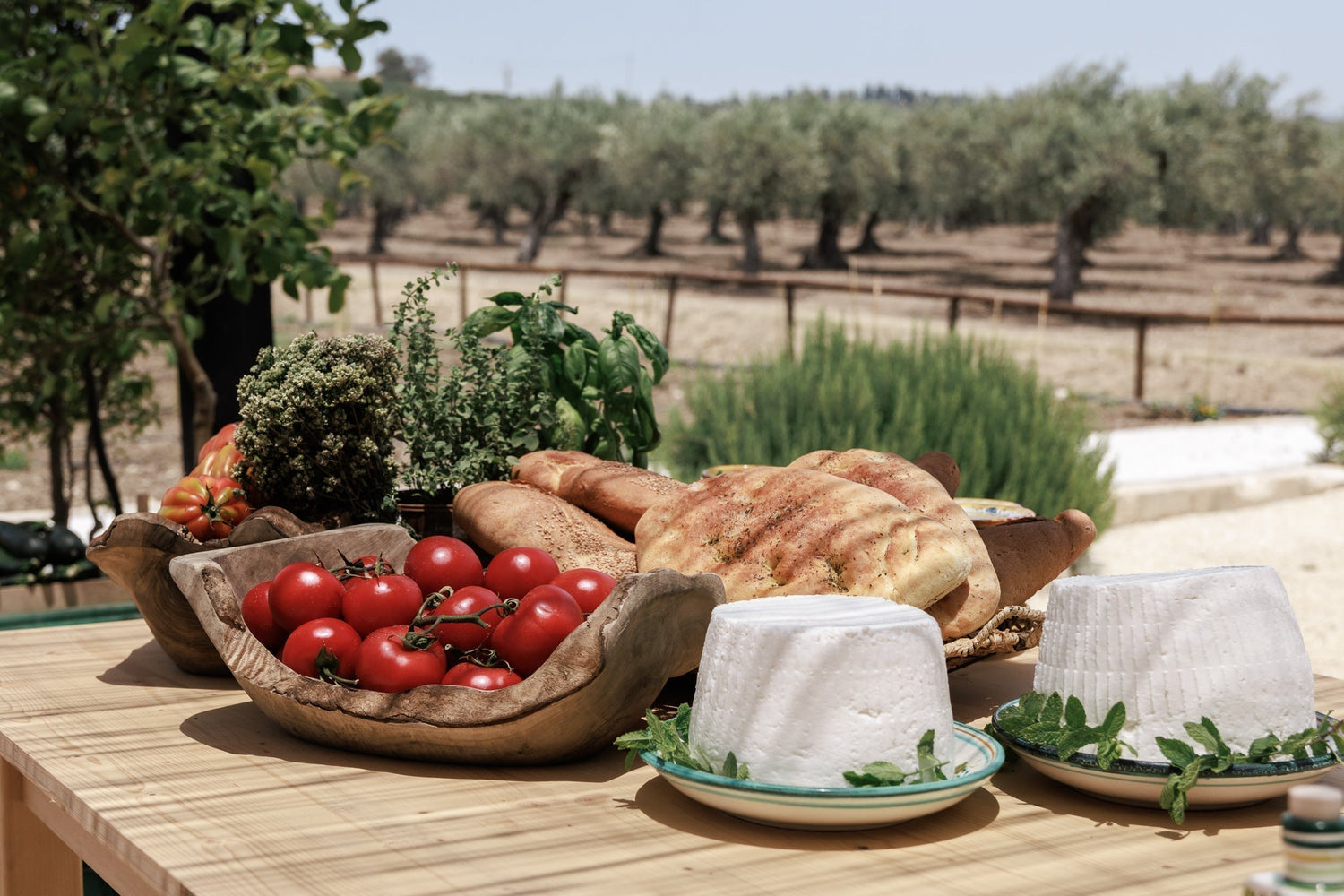 A Recap of Our Verdura Longevity Retreat in Sicily