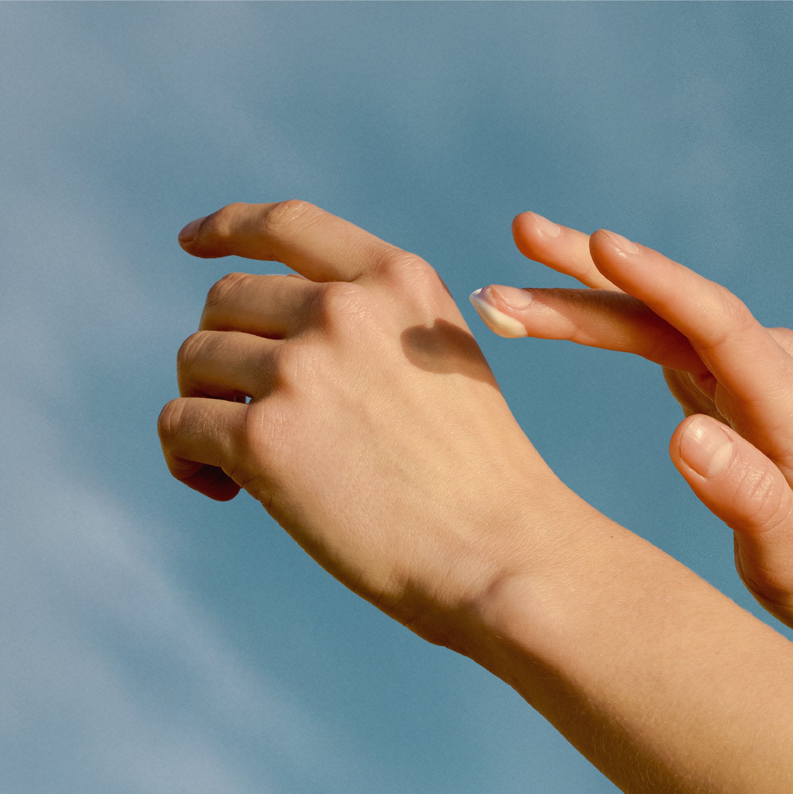 Ricarica di Pomegranate Hand Cream