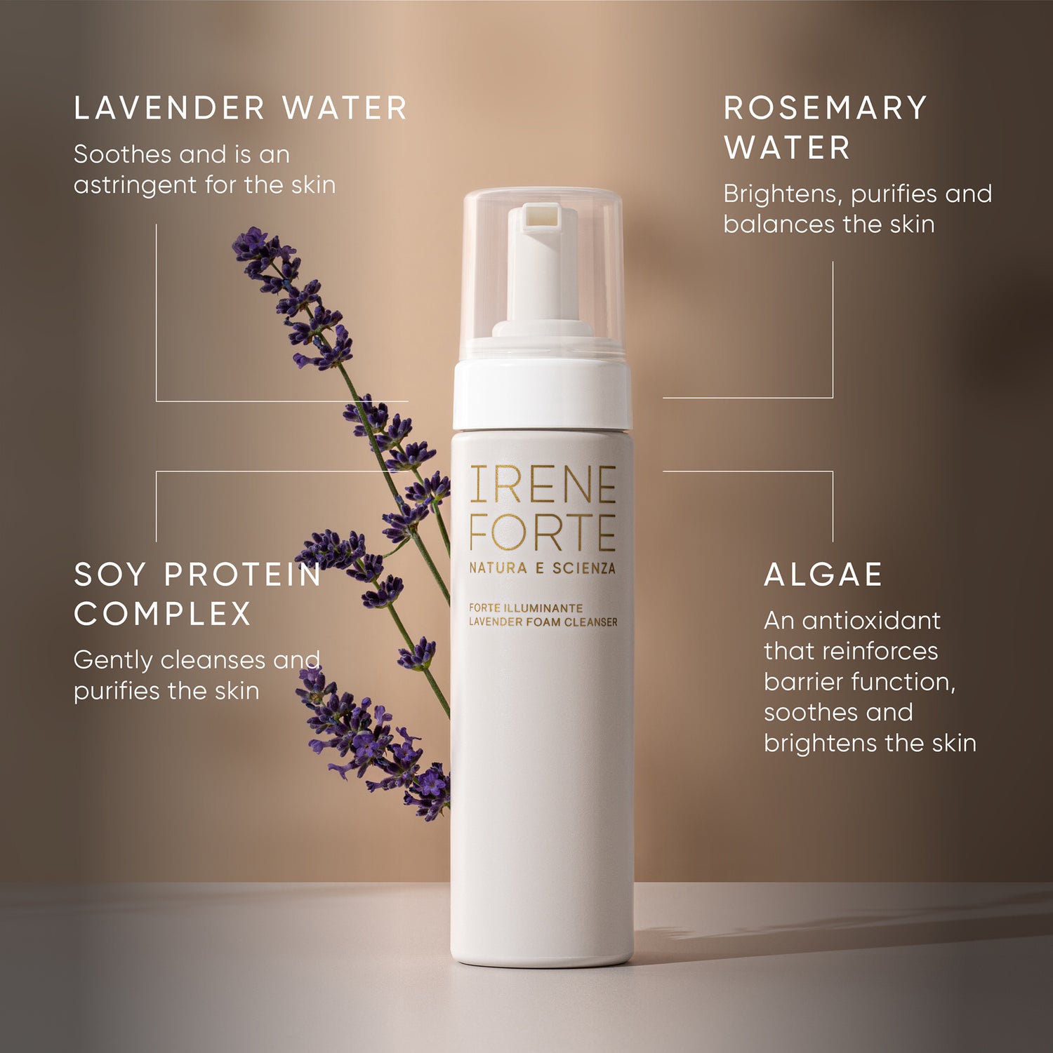 Lavender Foam Cleanser