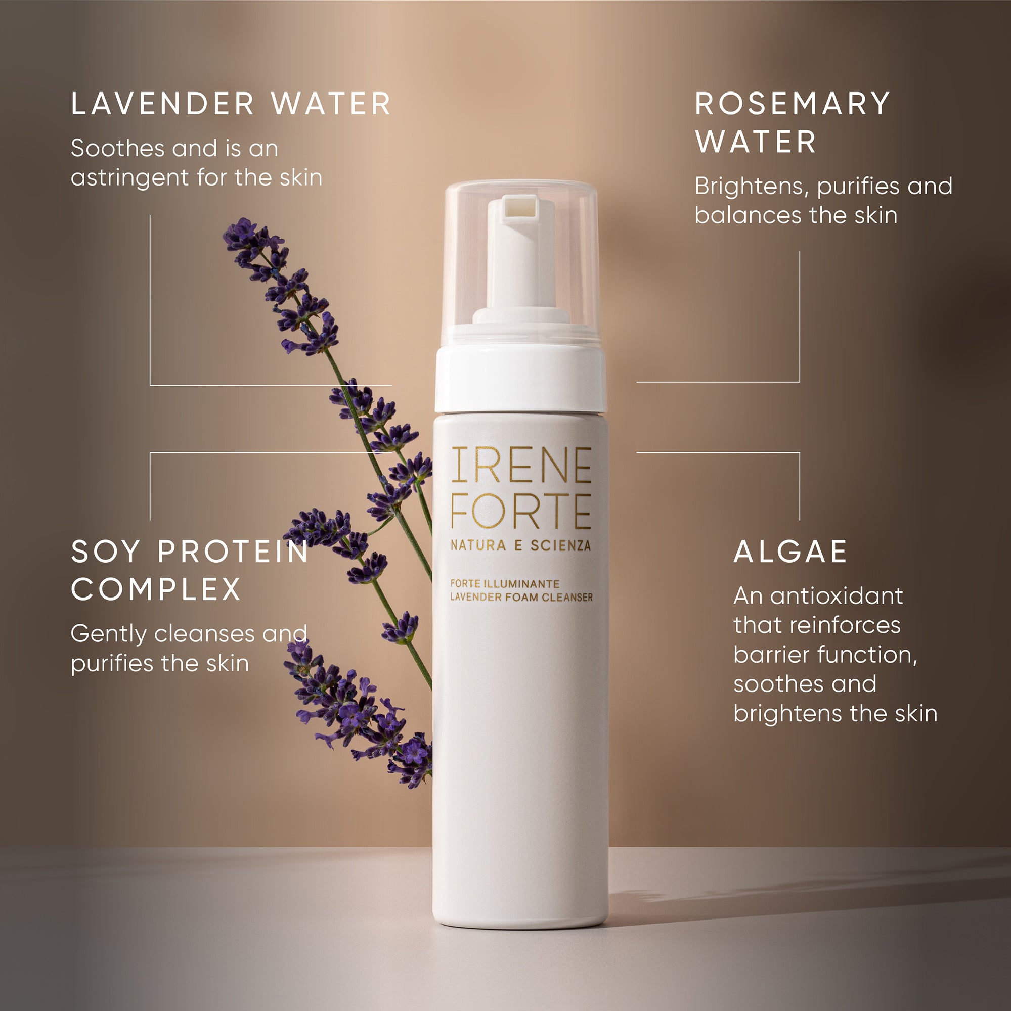 Lavender Foam Cleanser