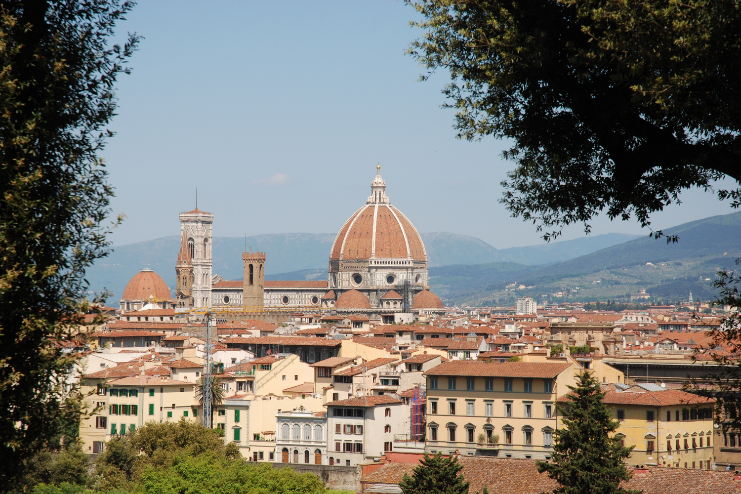 Forte Insider: Irene's Guide to Florence