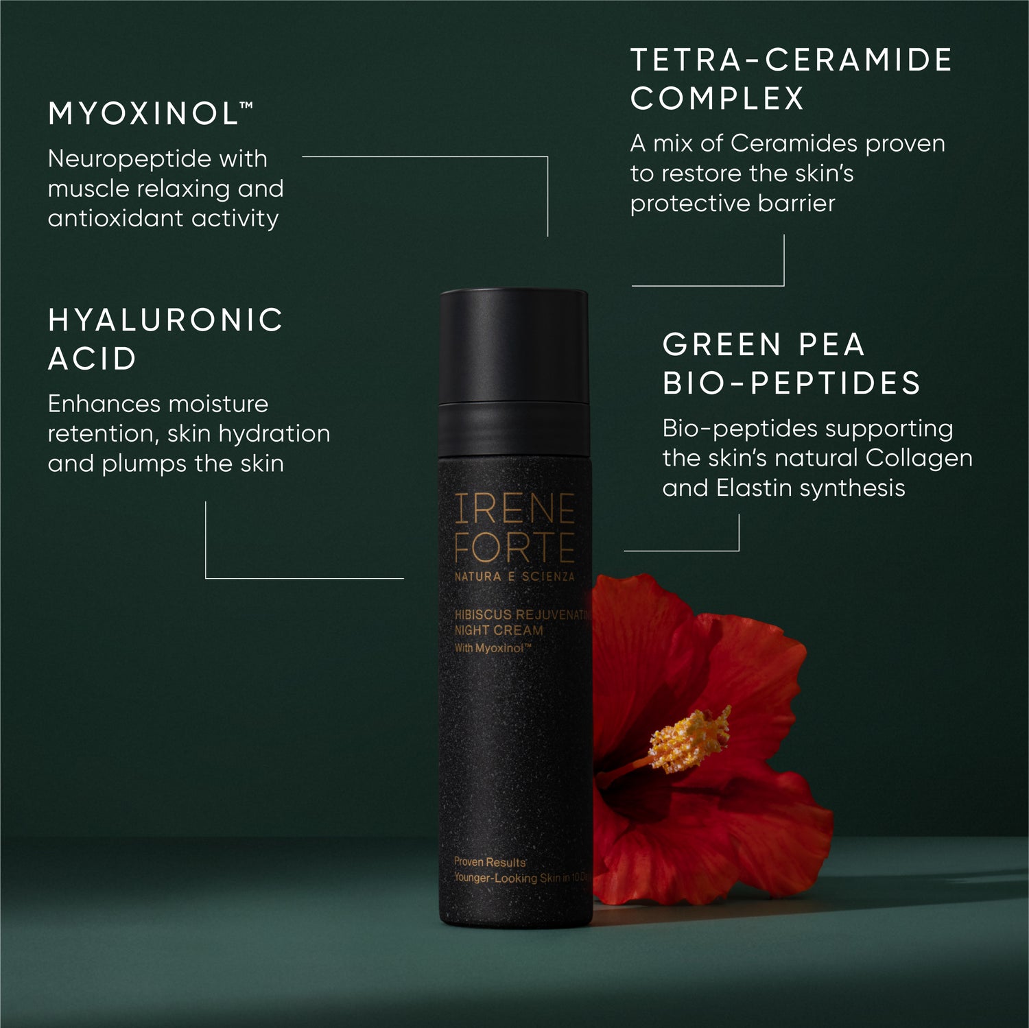 Hibiscus Rejuvenating Night Cream Refill